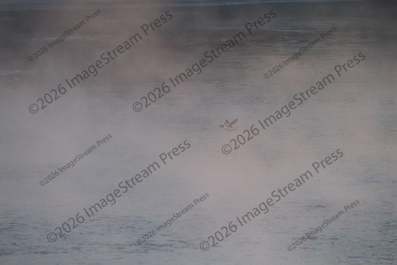B23T7006