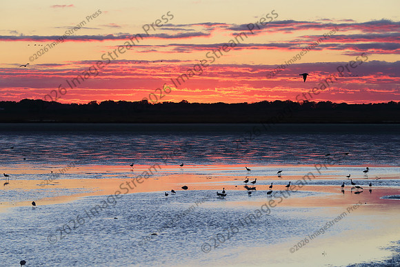 Sunset - Quivira National Wildlife Refuge, Kansas