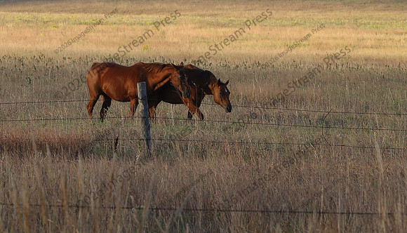 Flint Hills, Kansas