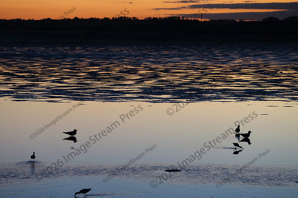 Sunset - Quivira National Wildlife Refuge, Kansas