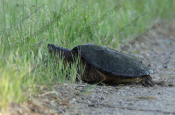 Sherburne National Wildlife Refuge