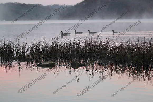 BJ7F9875
