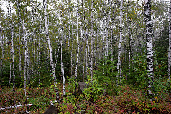 North Shore - Minnesota